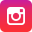 Red Fox Instagram Social media icon